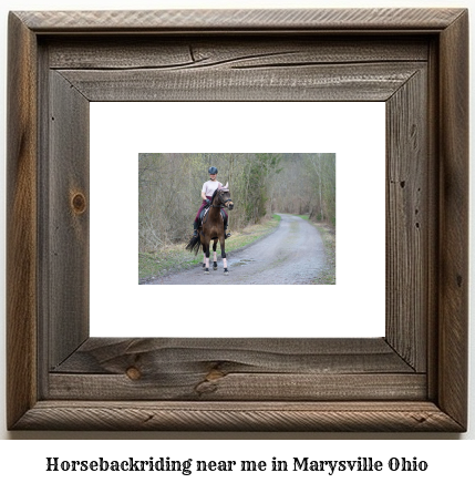 horseback riding near me in Marysville, Ohio